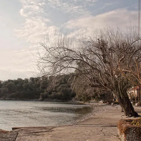 House Katia アパート