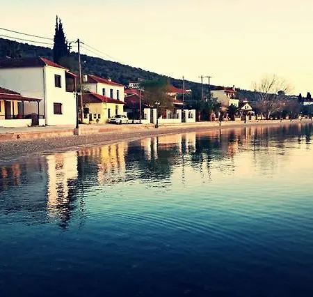 アパート House Katia